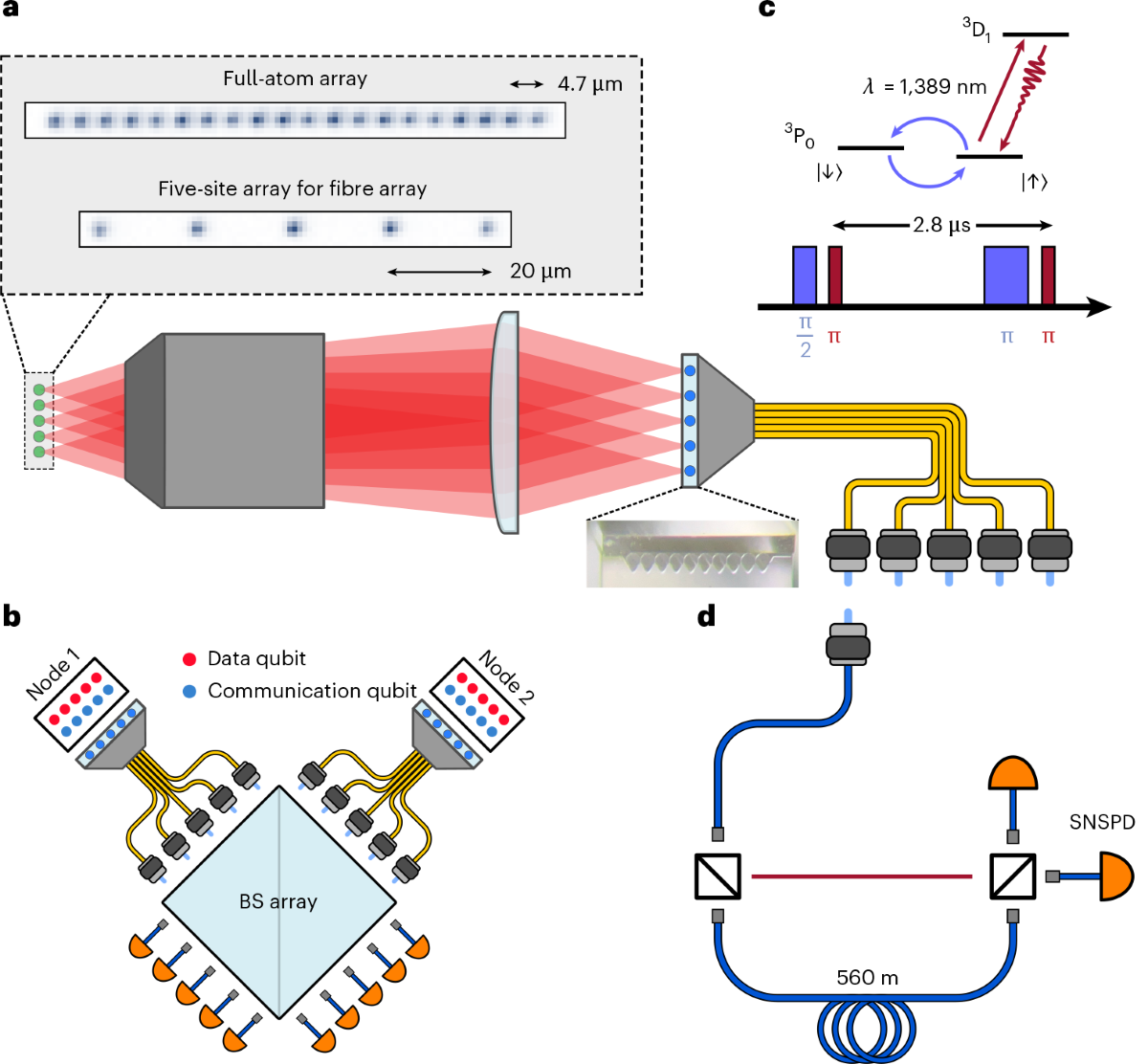 Expectation for future stories