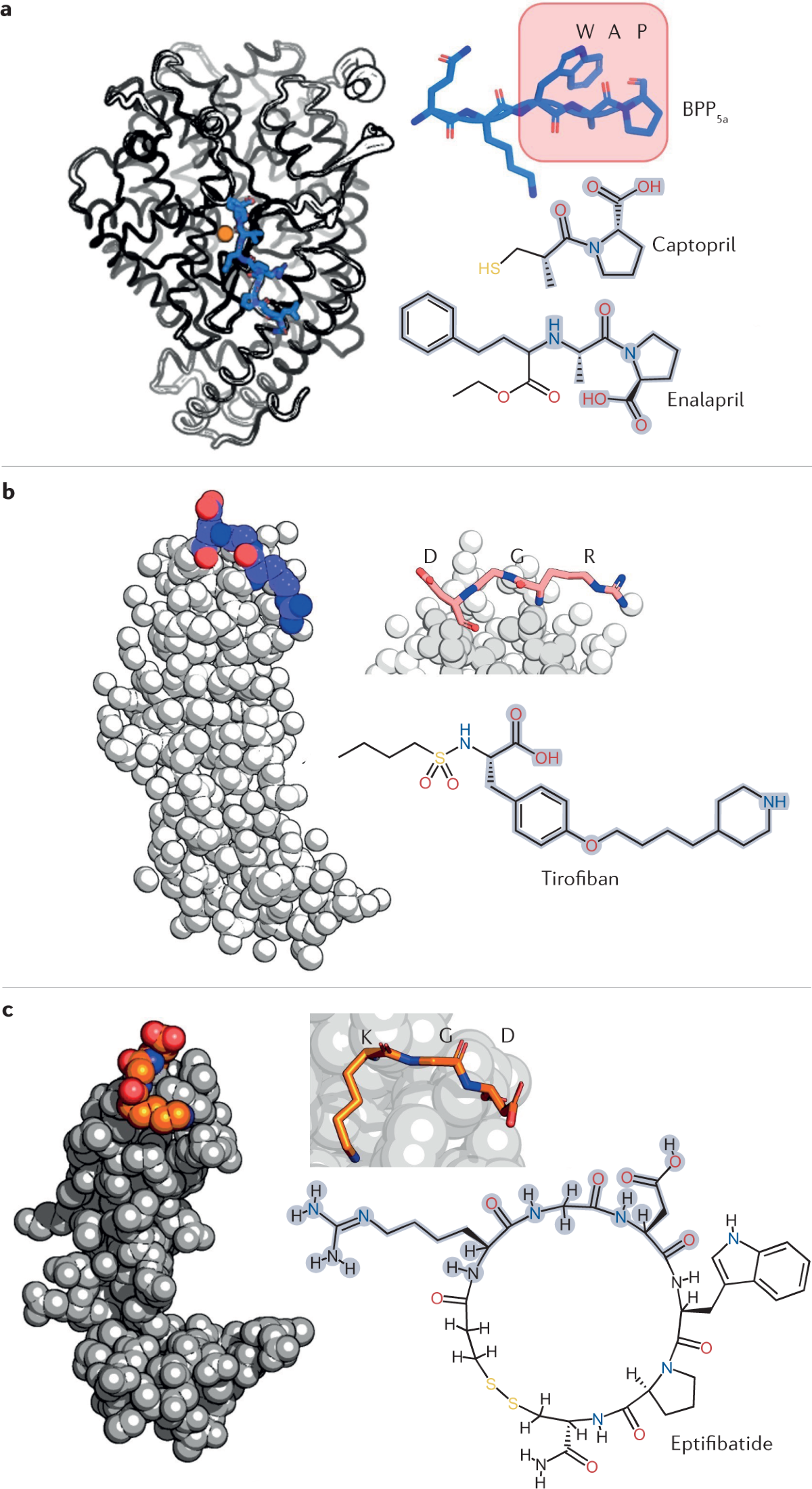 does tirzepatide have snake venom The chemistry of snake venom and its medicinal potential