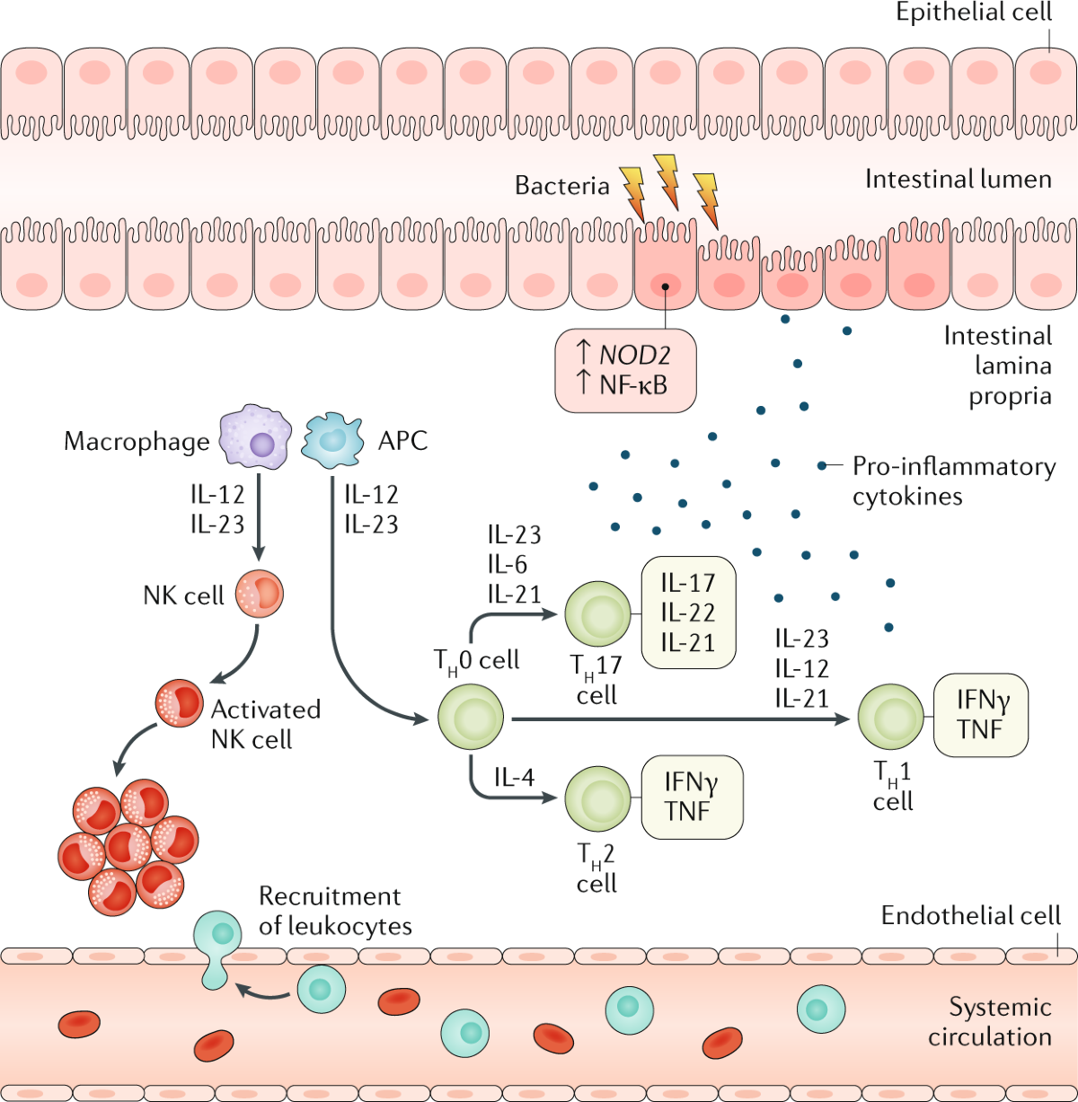 bpc 157 and crohn's disease Crohn's disease