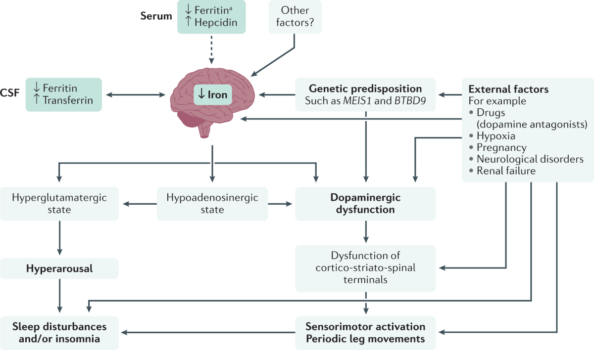 does glp-1 lower testosterone in women Do GLP-1s work differently in women — and does menopause blunt their effect? Emerging research suggests the answer is yes. And the missing link may be estrogen.👇 Studies show that women often does glp-1 lower testosterone in women Do GLP-1s work differently in women — and does menopause blunt their effect? Emerging research suggests the answer is yes. And the missing link may be estrogen.👇 Studies show that women often