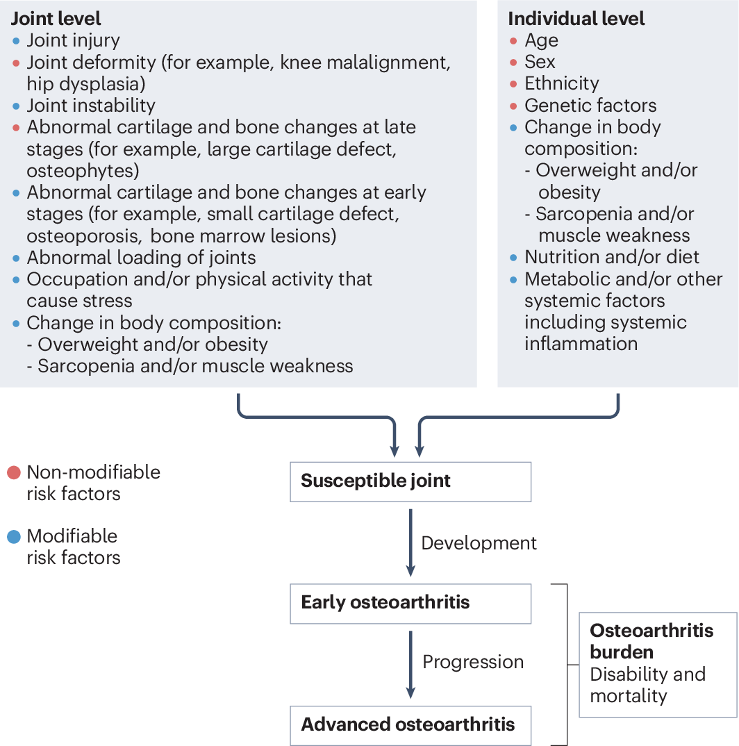 Osteoarthritis | Nature Reviews Disease Primers, image size:1064x1074