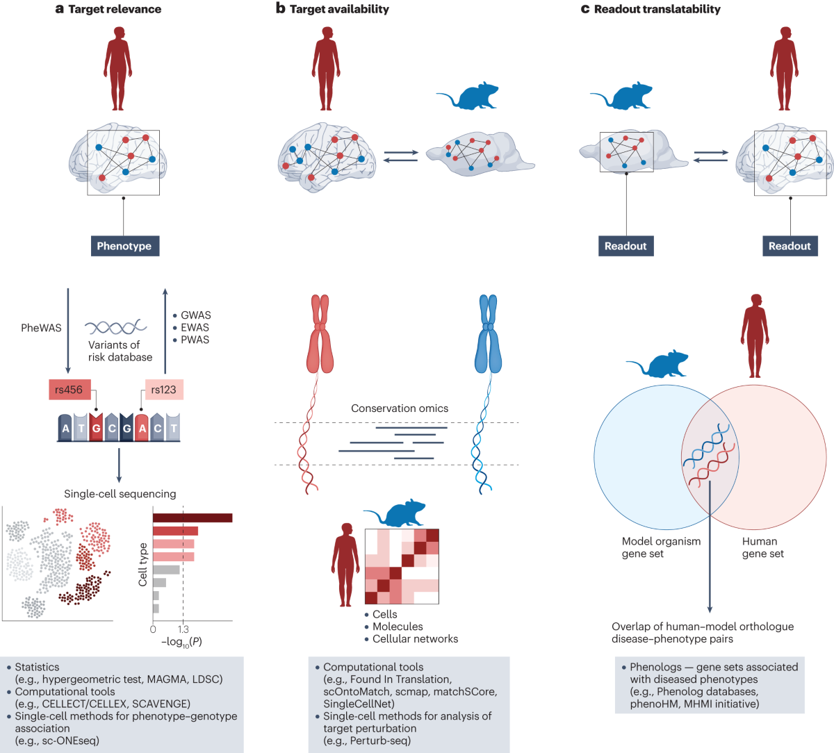 Drug targeting in psychiatric disorders — how to overcome