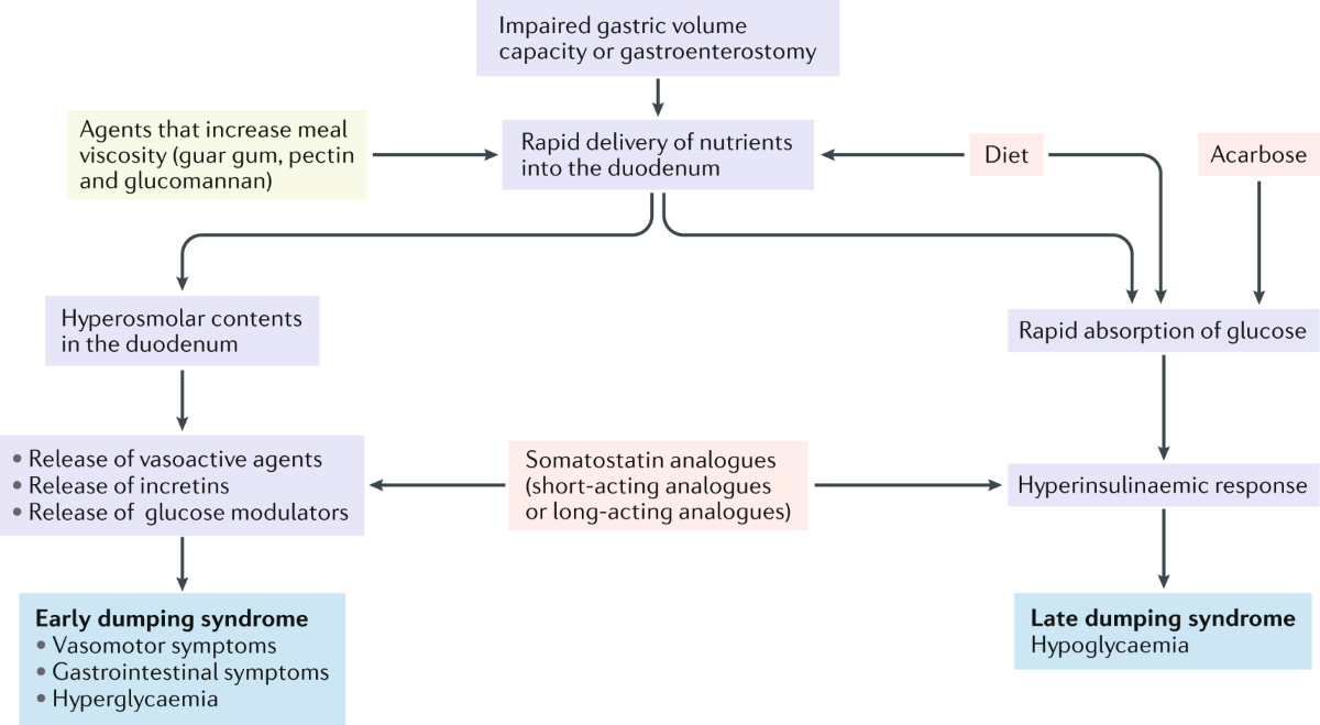 what to do if you inject too much semaglutide What to Do If You Inject Too Much Semaglutide