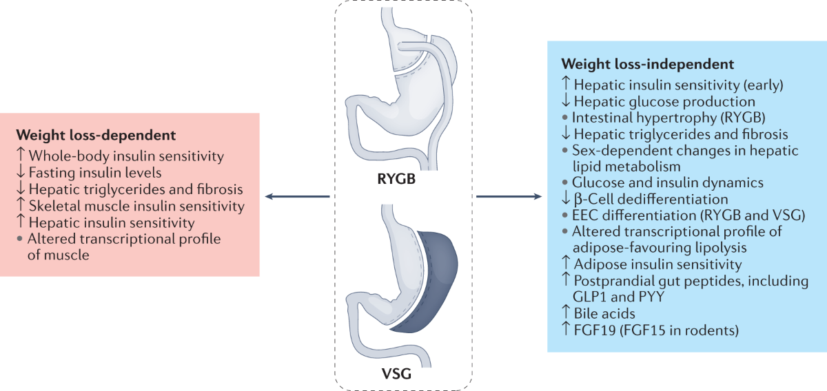 dosage difference between semaglutide and tirzepatide Curious about the differences between today's most popular GLP-1  medications? Here's your quick guide to semaglutide, tirzepatide, and  retatrutide — three powerful tools on the journey toward weight loss,  metabolic balance, and