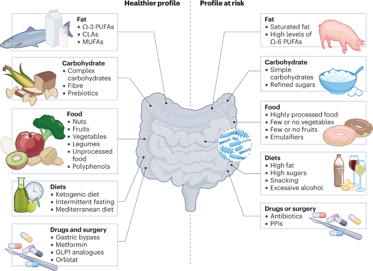 semaglutide gut microbiome The gut microbiota in obesity and weight management: microbes as friends or  foe?