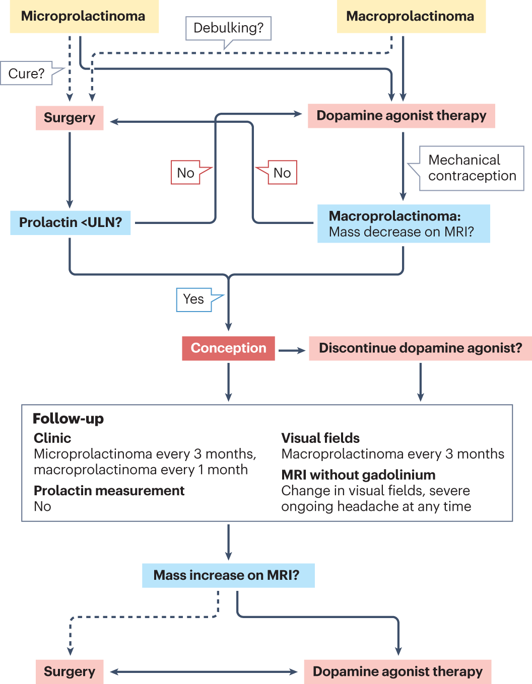 Diagnosis and management of prolactin-secreting pituitary adenomas: a Pituitary Society international Consensus Statement