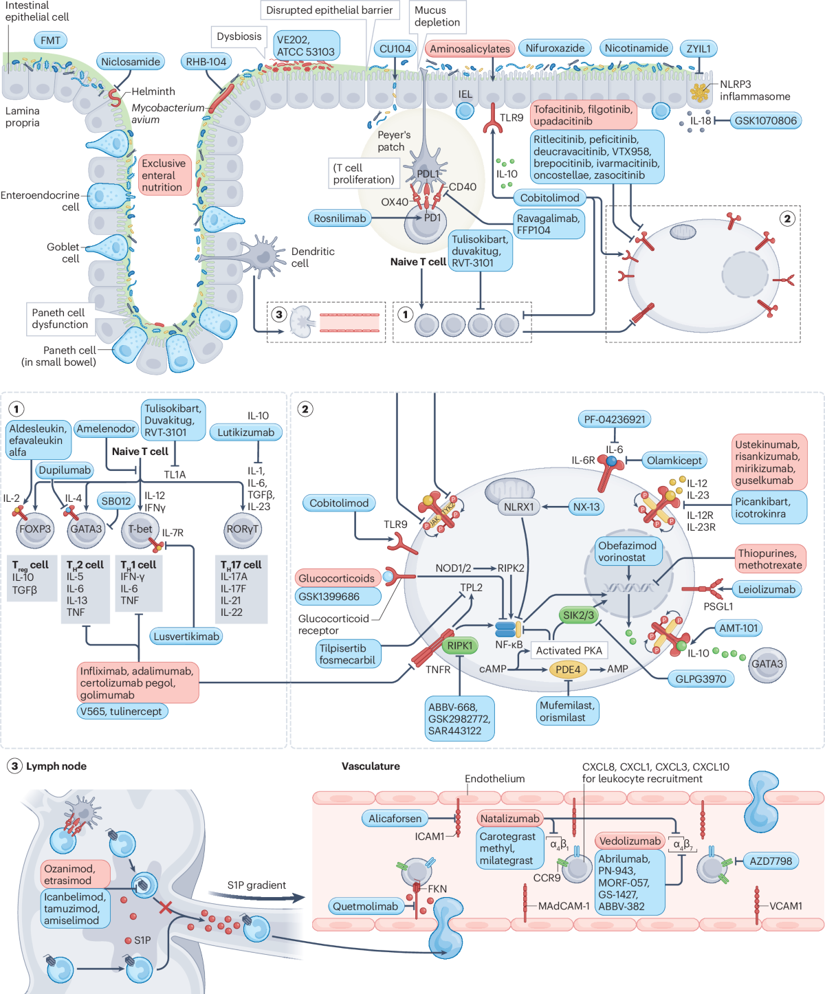 how to prevent muscle loss with glp 1 Noom GLP-1 Companion to Add “Muscle Defense” to Promote Safer GLP-1 Use