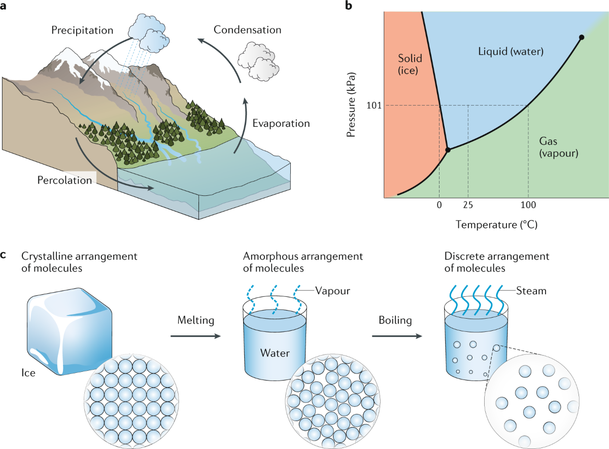 Materials for solar-powered water evaporation | Nature Reviews 