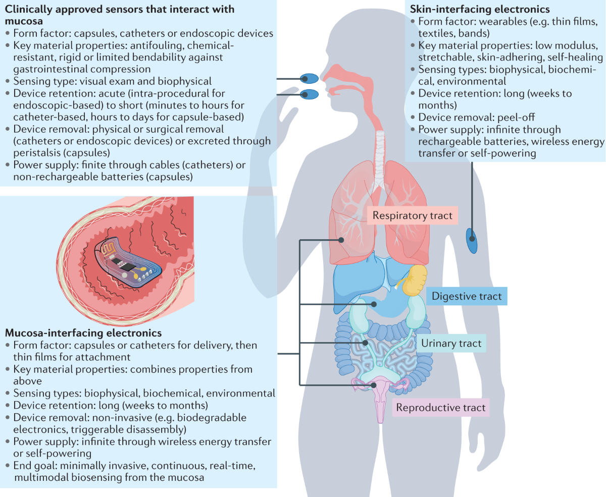 Mucosa-interfacing electronics | Nature Reviews Materials