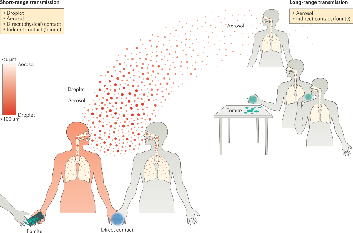Transmissibility and transmission of respiratory viruses | Nature Reviews Microbiology