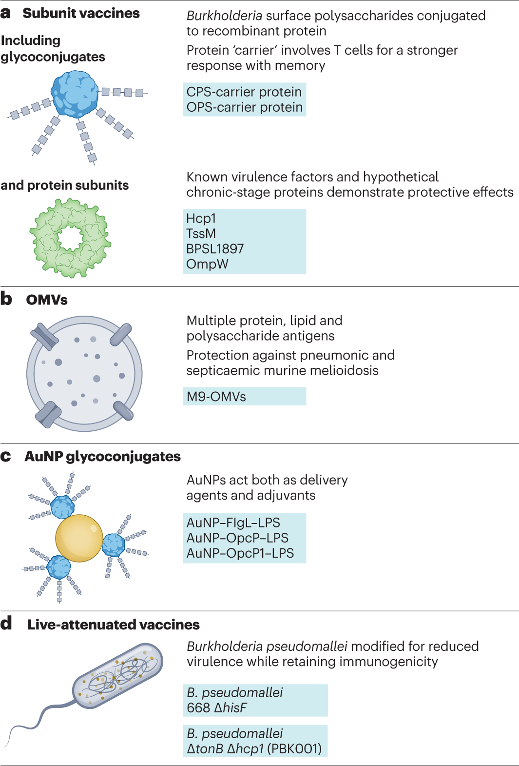 glutathion benfotiamin Proposed mechanism of action of BFT and SuBT. (GSH, reduced