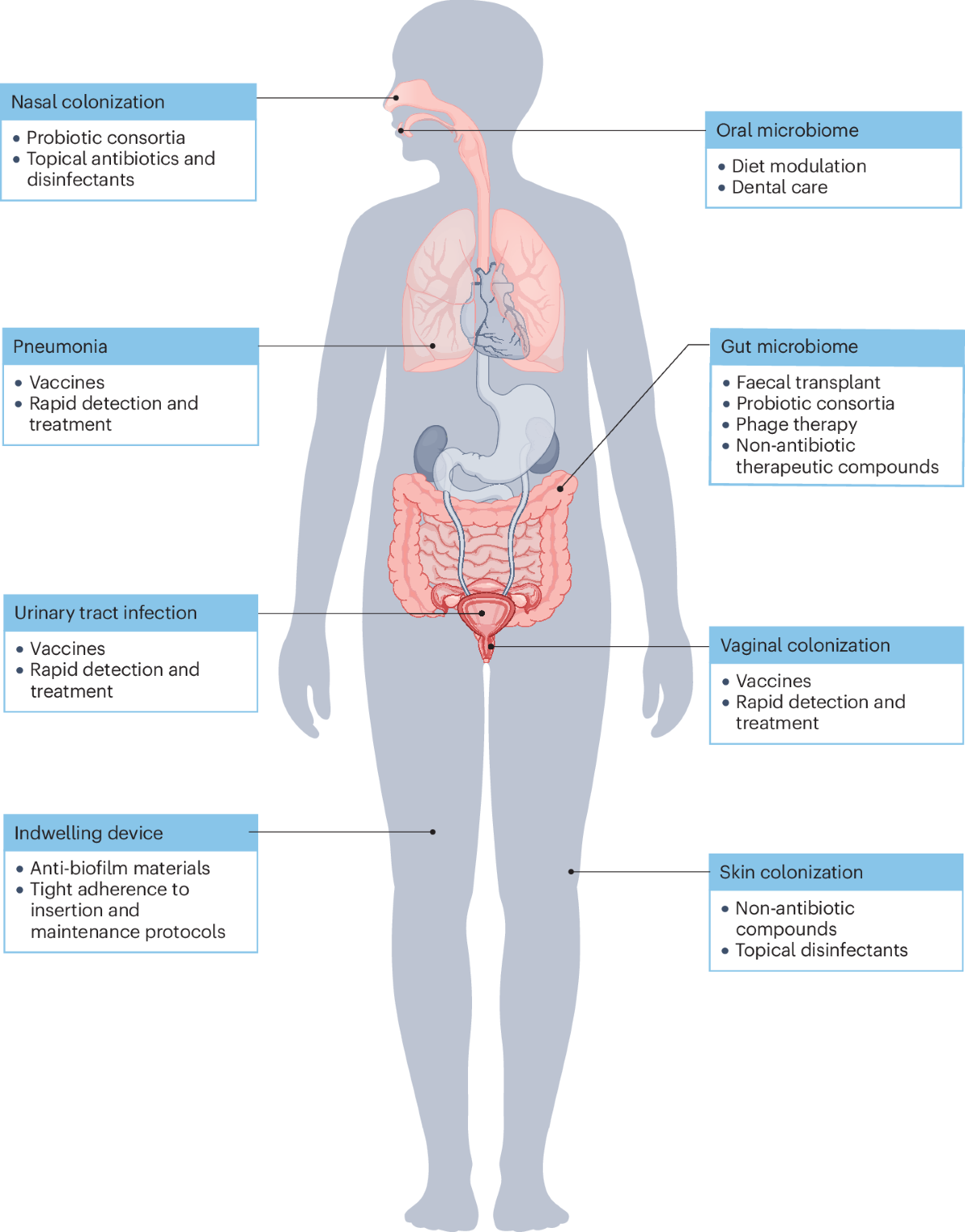 Bloodstream infections: mechanisms of pathogenesis and 