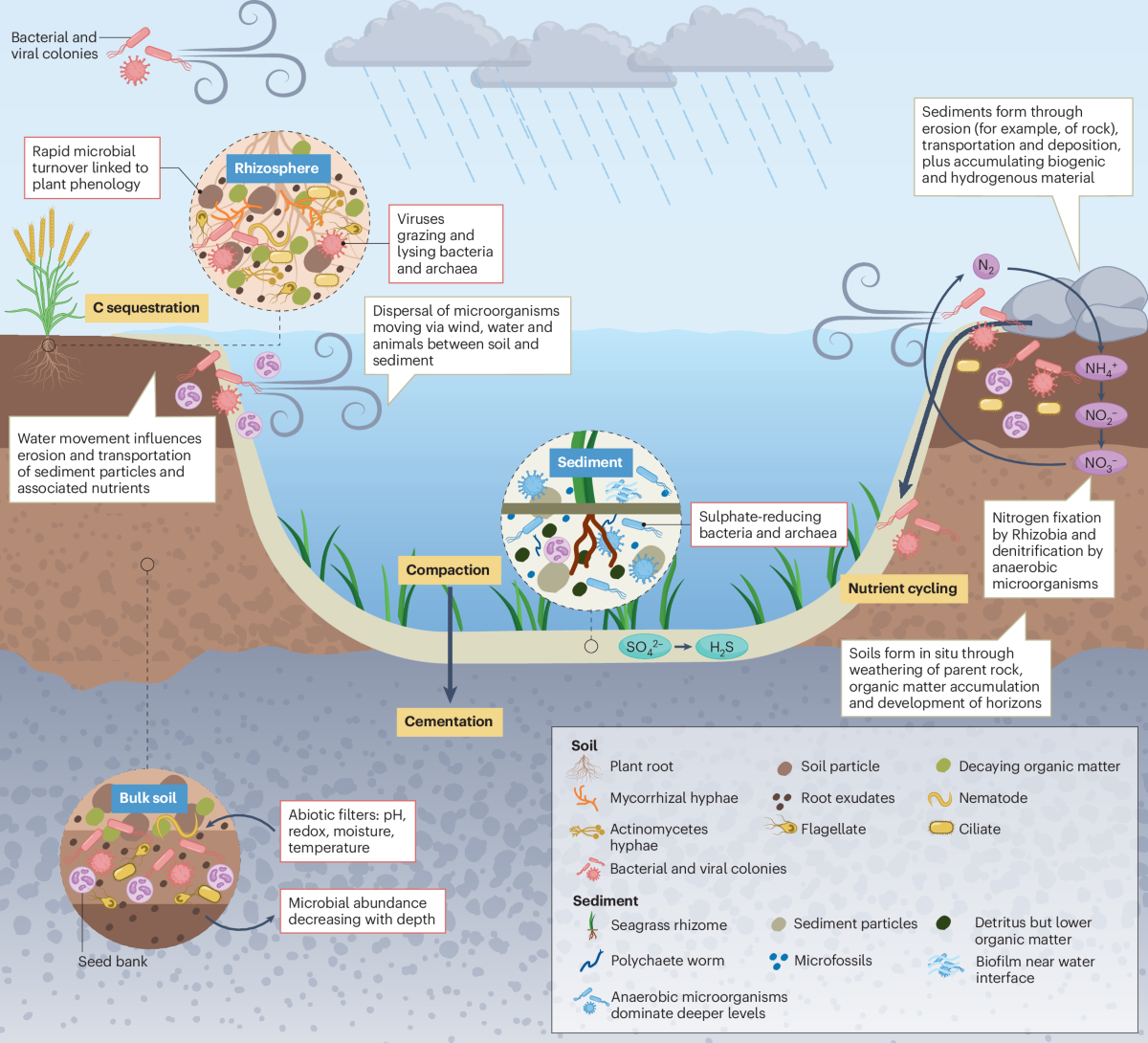 Nature Reviews Microbiology: Restoring Soil Microbiomes Is Central to Climate Resilience