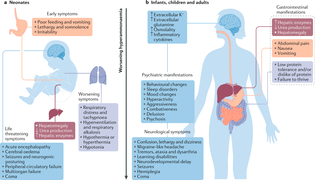 can glycine propionyl-l-carnitine cause lightheadedness Propionyl L Carnitine and Erectile Dysfunction: What the Evidence Shows Effects of nine weeks L-Carnitine