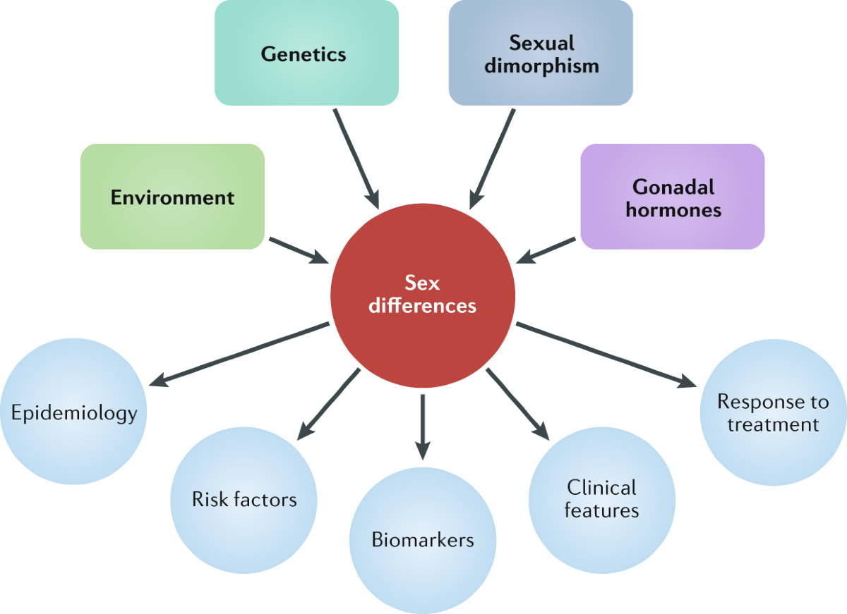 Sex differences in movement disorders | Nature Reviews Neurology