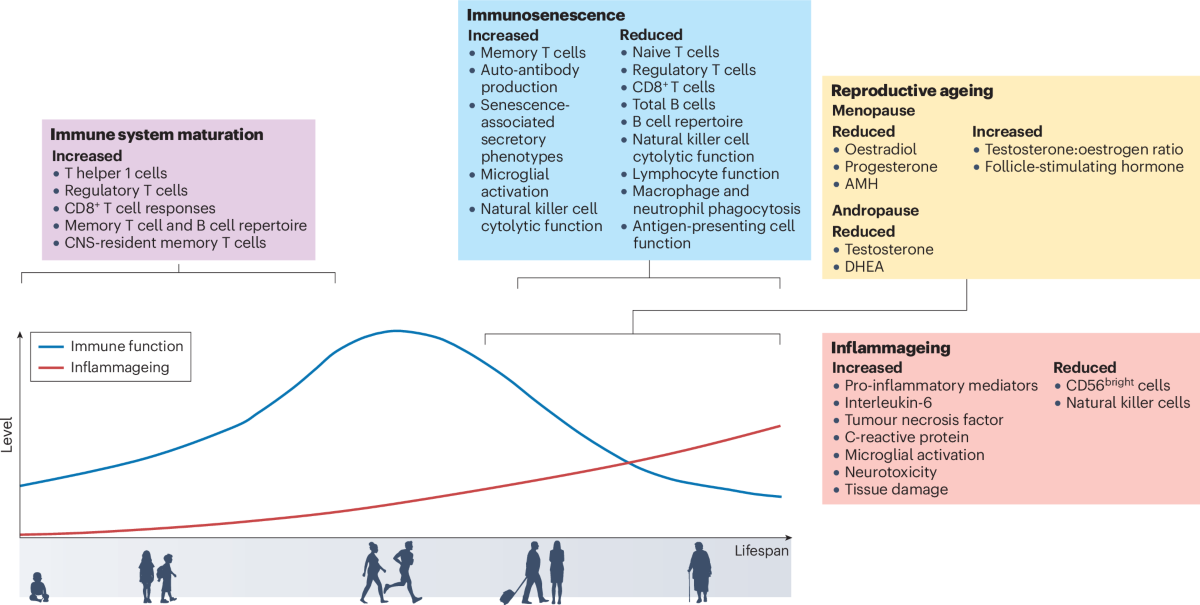 Advancing multiple sclerosis management in older adults