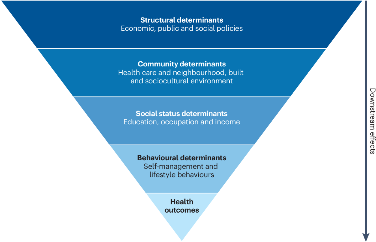 The role of social context in cognitive and neurobehavioural outcomes in  epilepsy | Nature Reviews Neurology