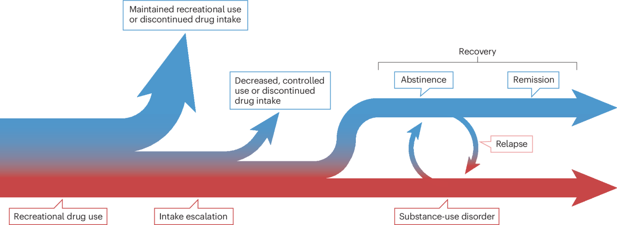 tobacco use in remission icd 10 Remission from addiction: erasing the wrong circuits or making new ones?
