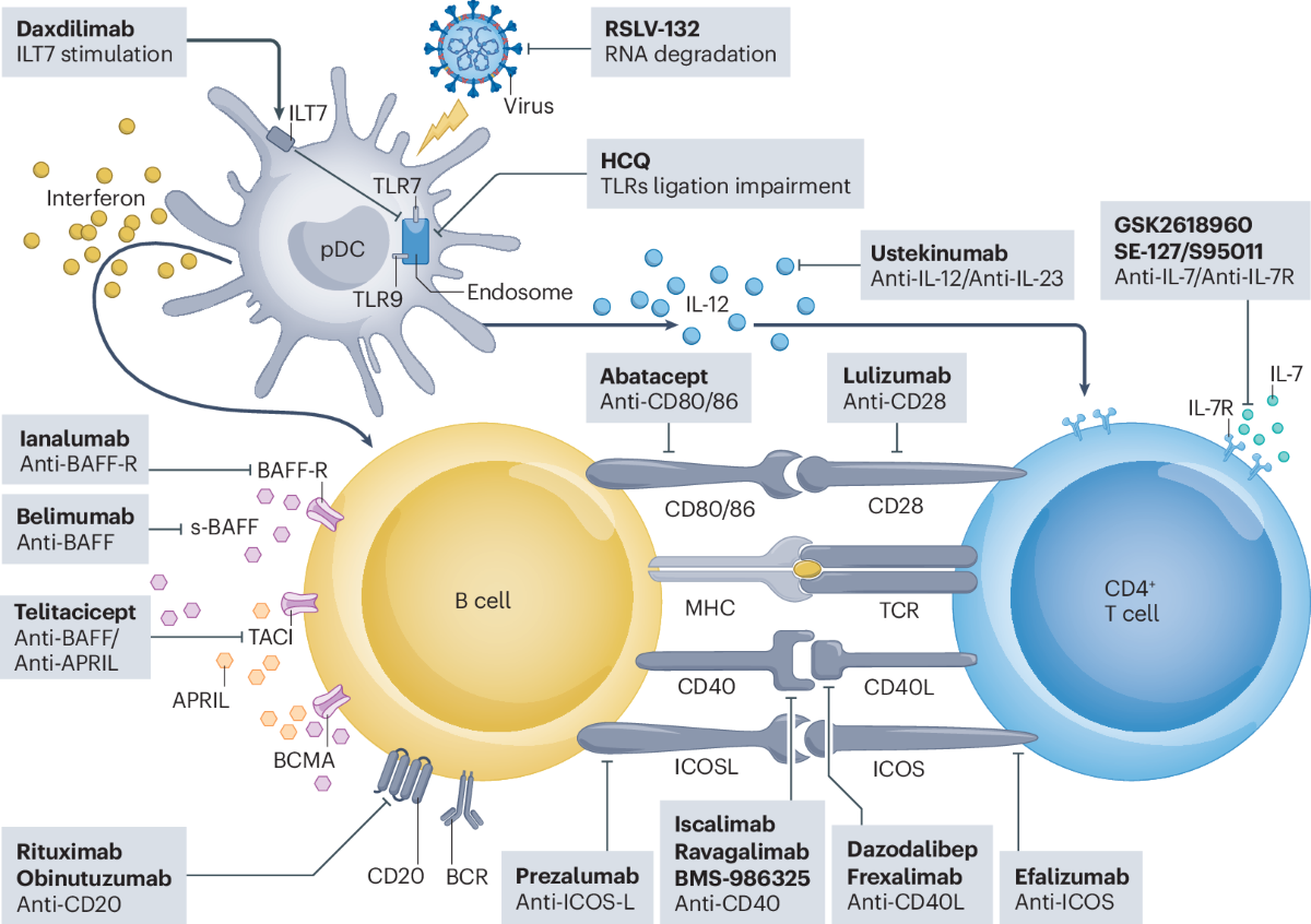 glutathione or its precursors Glutathione: Antioxidant Properties Dedicated to Nanotechnologies
