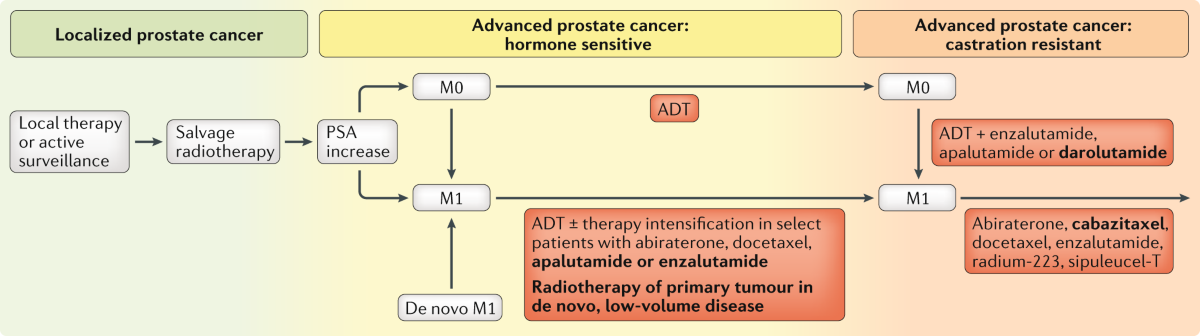Progress in therapy across the spectrum of advanced prostate cancer