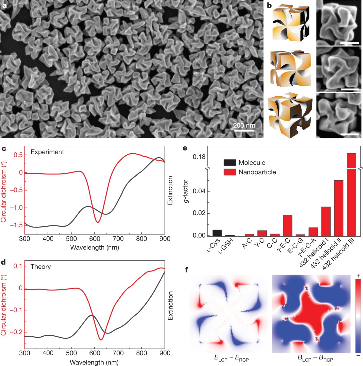 synthesis of chiral gold helicoid nanoparticles using glutathione Amino-acid- and peptide-directed synthesis of chiral plasmonic gold  nanoparticles