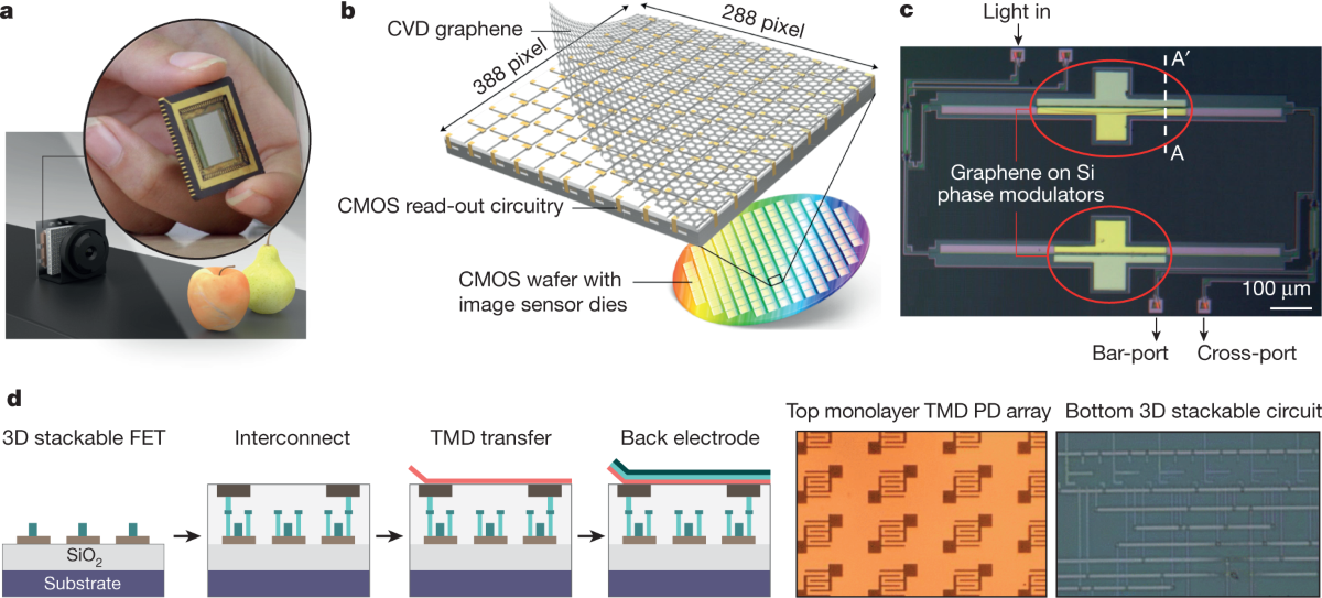 Graphene and two-dimensional materials for silicon technology | Nature