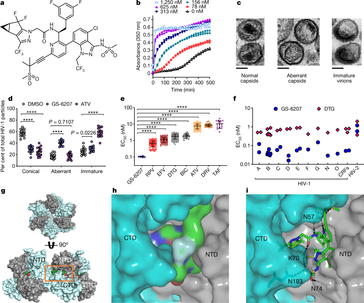 Clinical targeting of HIV capsid protein with a long-acting small molecule  | Nature