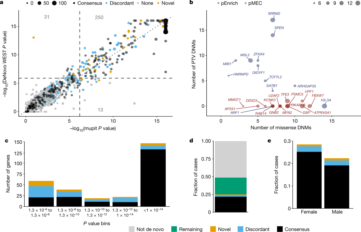 Evidence for 28 genetic disorders discovered by combining healthcare and  research data | Nature