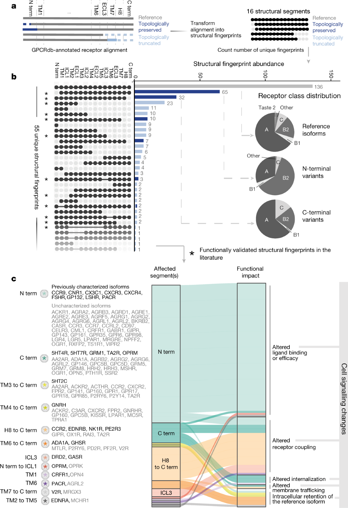 Combinatorial expression of GPCR isoforms affects signalling and drug  responses | Nature
