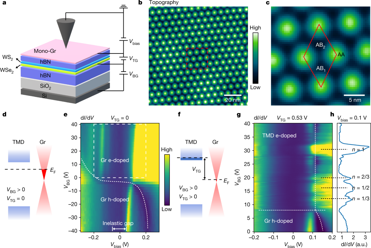 STM experimental device and measured moire superlattice topography