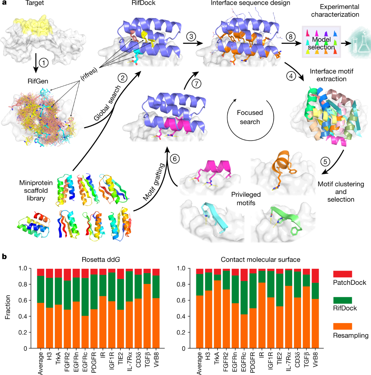 Design of protein-binding proteins from the target structure alone