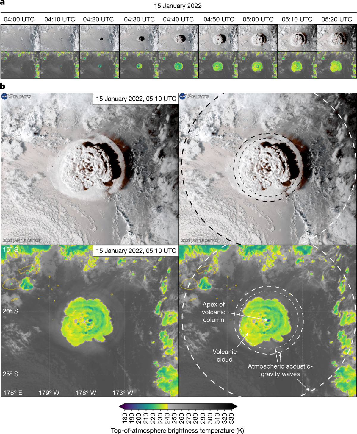 Global Tonga tsunami explained by a fast-moving atmospheric source | Nature