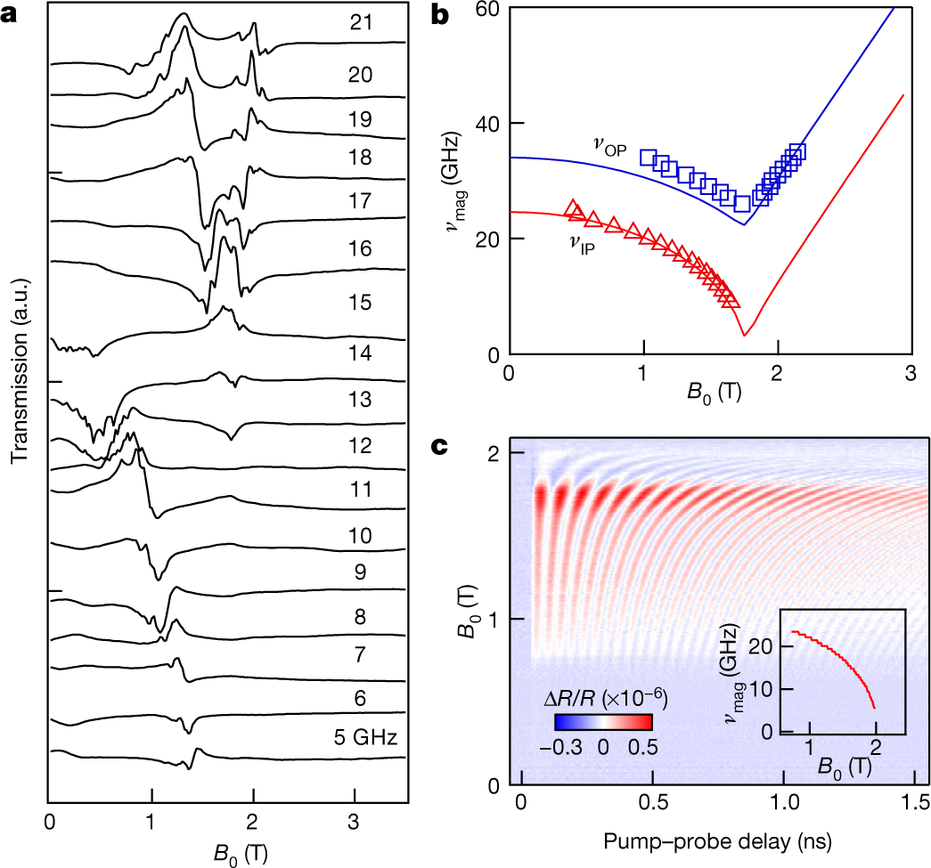 Exciton-coupled coherent magnons in a 2D semiconductor | Nature