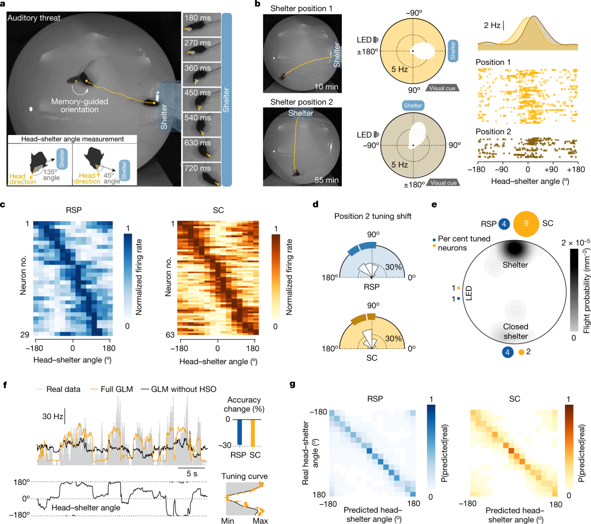 MH GLOBAL 13-18%Escape 2 at%クイックチェンジツールポストセット刃型CXA The application of cellulosic\u2010based materials on interfacial solar