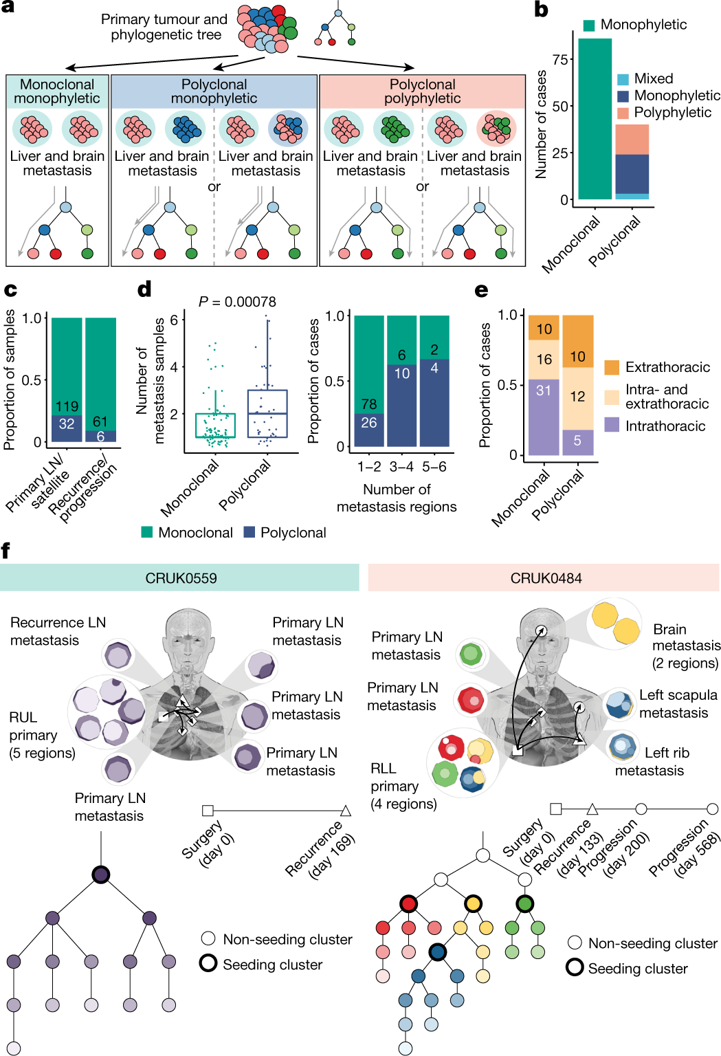 The evolution of non-small cell lung cancer metastases in TRACERx | Nature