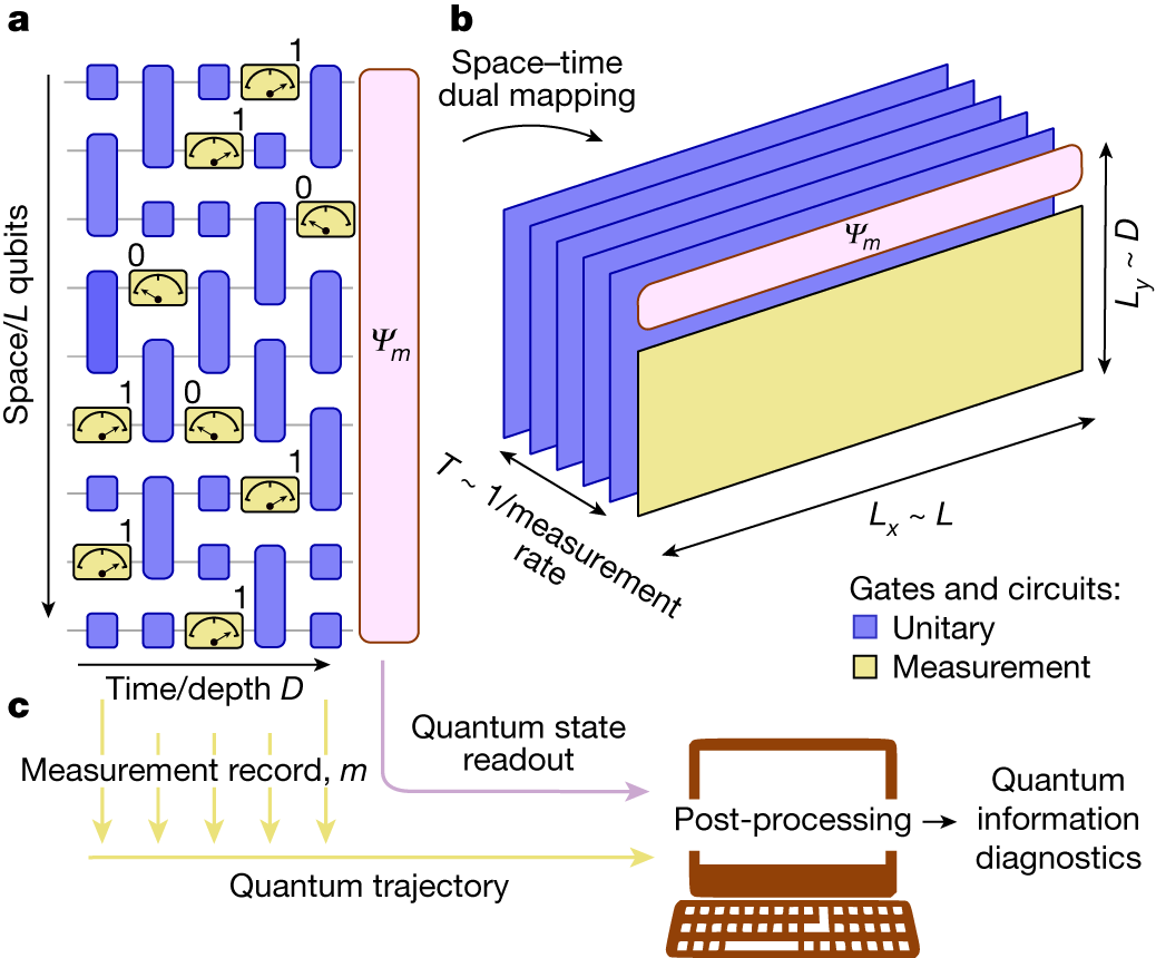 Measured quantum circuits and their space-time duality diagram