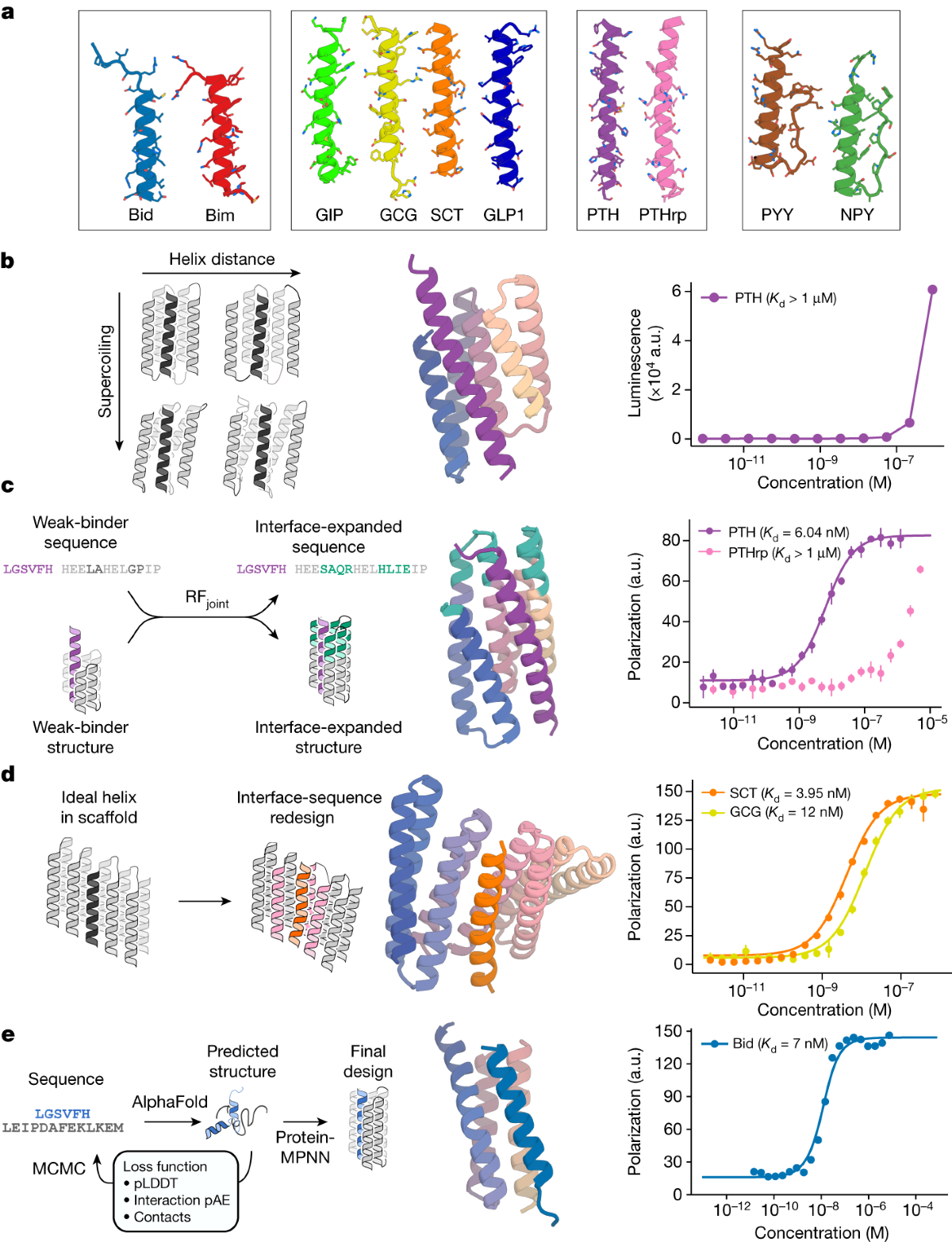 De novo design of high-affinity binders of bioactive helical peptides | Nature de-novo-design-of-high-affinity-binders-of-bioactive-helical-peptides-nature