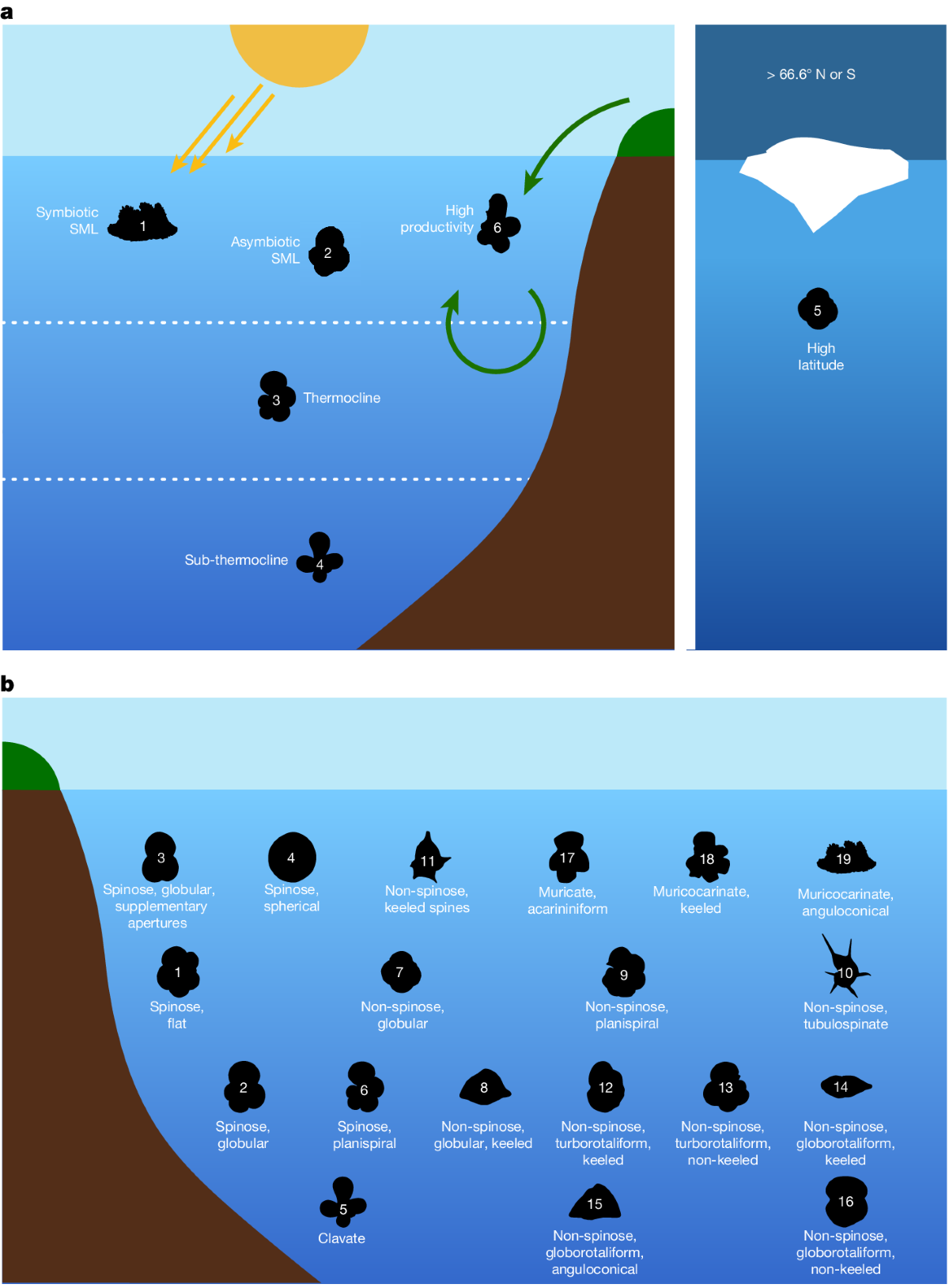 La Más Draga (Season 7) | RuPaul's Drag Race Wiki | Fandom, image size:1200x1628