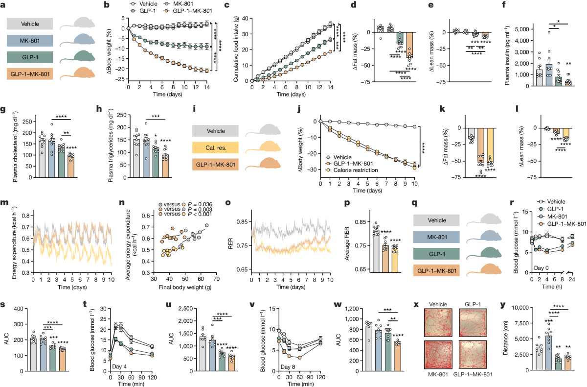 GLP-1-directed NMDA receptor antagonism for obesity treatment