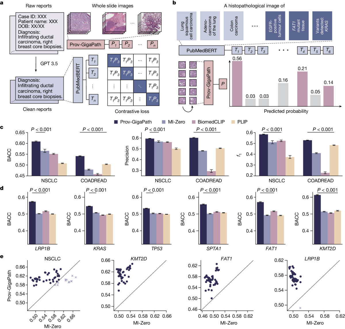 A whole-slide foundation model for digital pathology from real-world data |  Nature