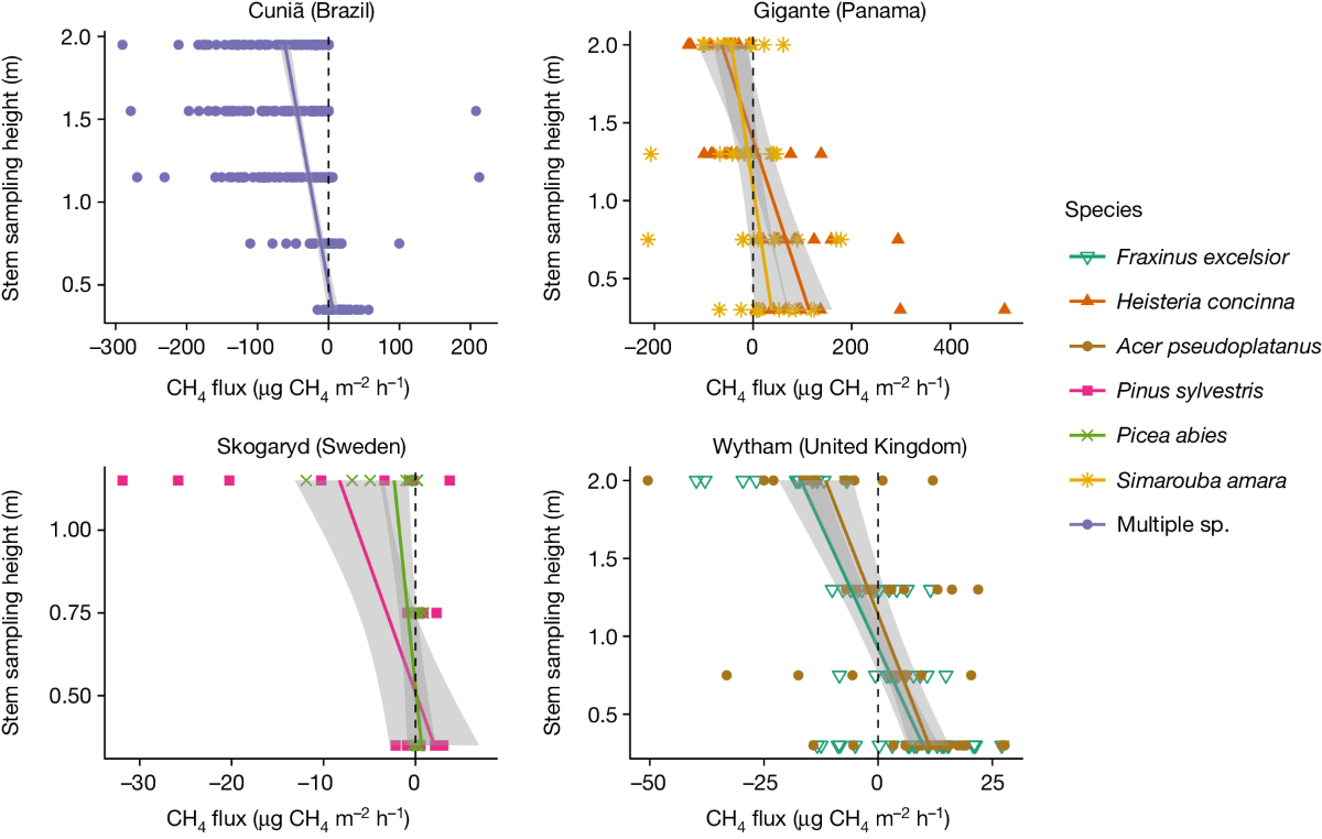 Global atmospheric methane uptake by upland tree woody surfaces | Nature, image size:1200x762