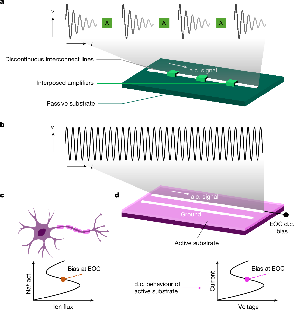 Design of low-offset low-power CMOS amplifier for biosensor application, image size:1200x1266