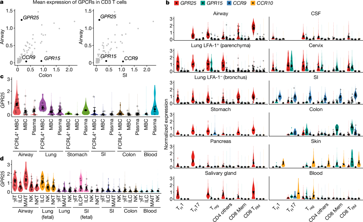 A lymphocyte chemoaffinity axis for lung, non-intestinal mucosae and CNS