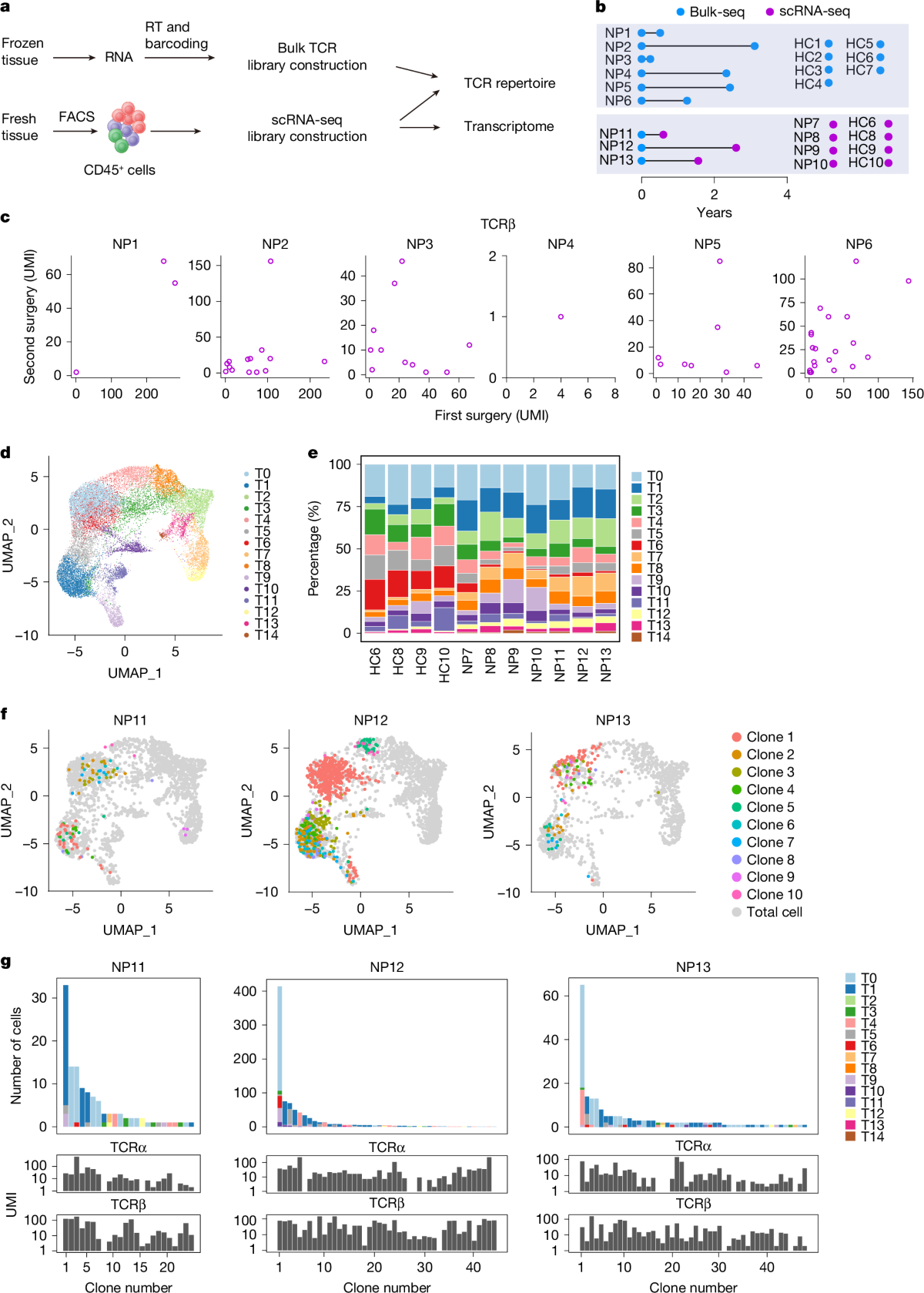 GZMK-expressing CD8+ T cells promote recurrent airway inflammatory diseases  | Nature