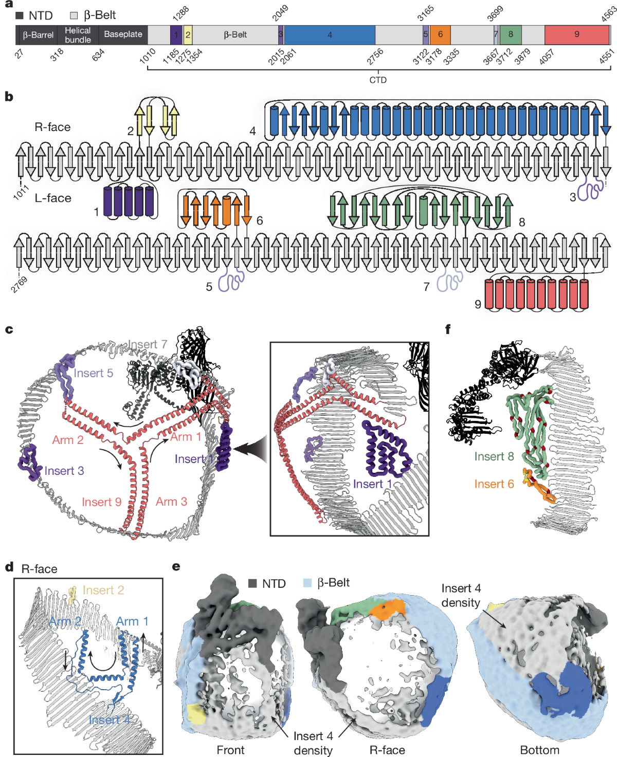The structure of apolipoprotein B100 from human low-density lipoprotein |  Nature