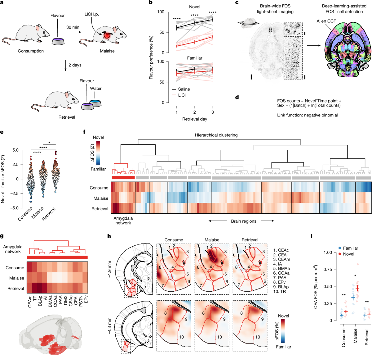 A neural mechanism for learning from delayed postingestive feedback | Nature