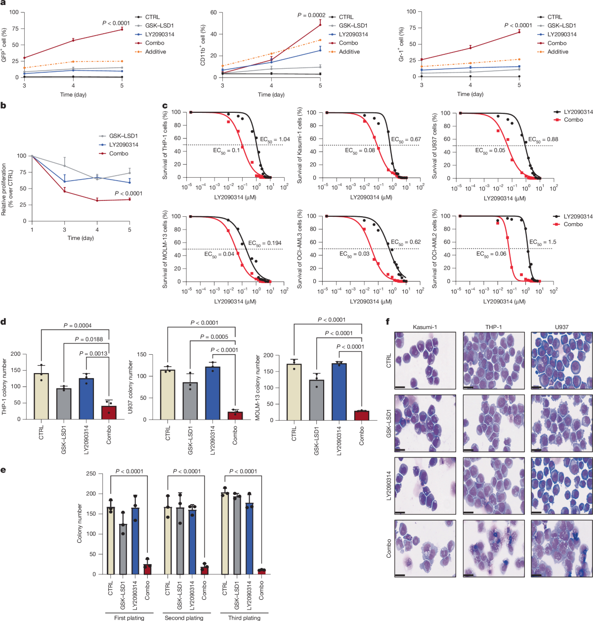 Perturbing LSD1 and WNT rewires transcription to synergistically induce AML  differentiation | Nature
