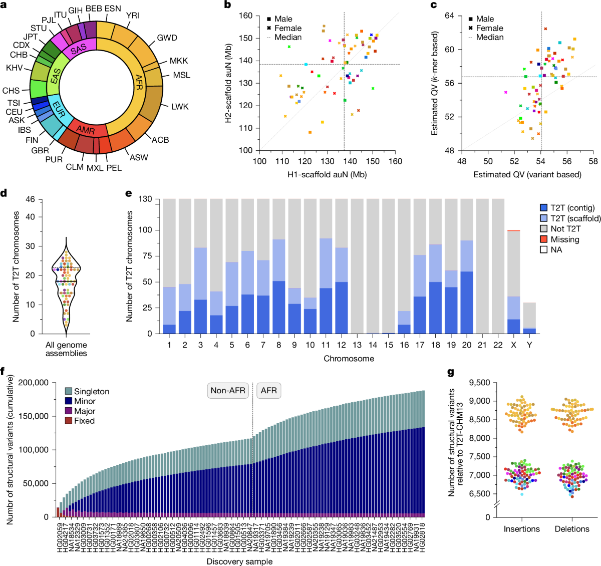 Complex genetic variation in nearly complete human genomes | Nature