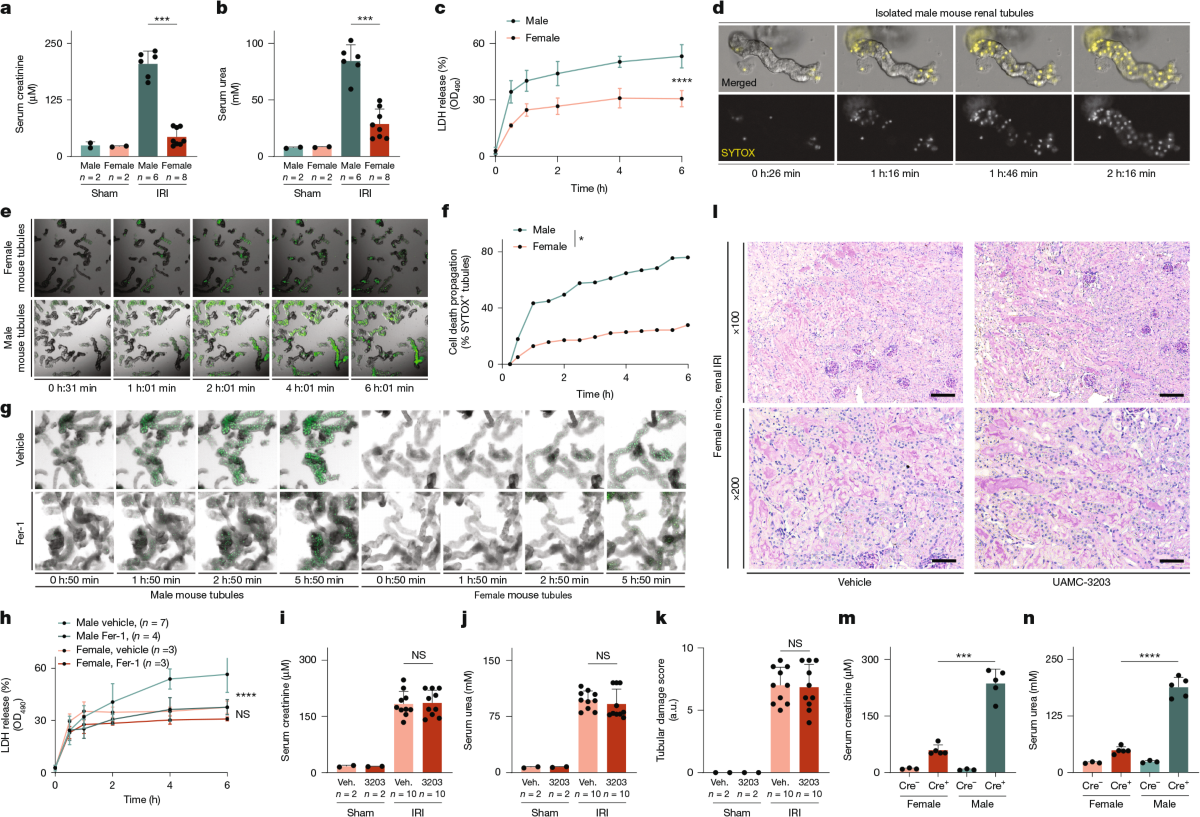 blood-brain barrier permeation nanoparticle ligand glutathione Crossing the Blood-Brain Barrier: Advances in Nanoparticle Technology for  Drug Delivery in Neuro-Oncology