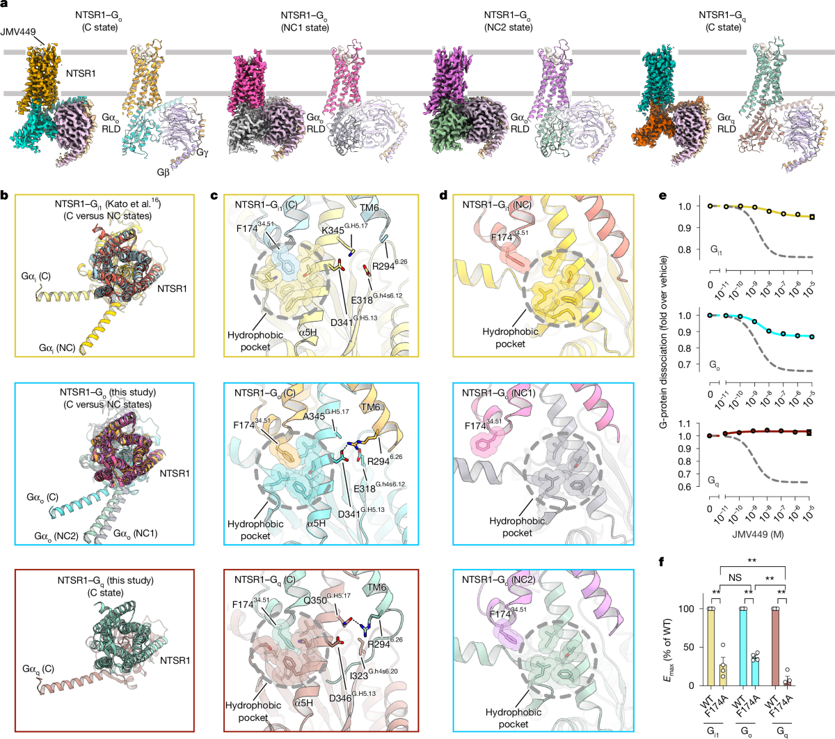 The dynamic basis of G-protein recognition and activation by a 